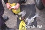 Новости: В Крыму мужчина  пытался провезти в «Оке» полкило конопли