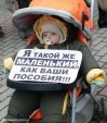 Новости: В Симферополе мамы с детьми митинговали из-за невыплаты пособий