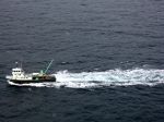 Новости » Экология » Общество: Пограничники Украины и России вместе борются с браконьерами