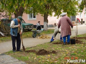 Новости » Общество: Керчанам будут оплачивать общественные работы