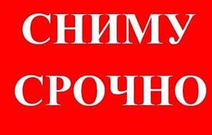 Сниму квартиру в КОНСОЛИ