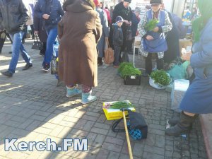 Новости » Криминал и ЧП: Полиция поймала керчанина, который воровал телефоны у горожан