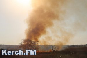 Новости » Общество: В Керчи на три дня объявили чрезвычайную пожарную опасность