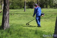 Новости » Общество: В Керчи в Комсомольском парке косят траву