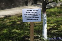 Новости » Общество: Сотрудники Керченского РЭСа высадили у входа в предприятие аллею деревьев