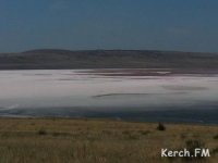 Новости » Общество: На озере Чокрак под Керчью мечтают сделать аналог курортов Мертвого моря