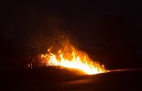 Новости » Общество: В Керчи зафиксировали больше всего возгораний по Крыму