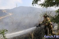 Новости » Общество: В Крыму на три дня снова объявили пожароопасный период