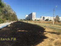 Новости » Общество: В Керчи продолжает выгорать сухая трава