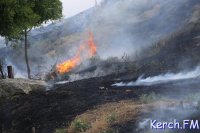 Новости » Общество: В Крыму объявили экстренное предупреждение о пожарной опасности