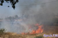 Новости » Общество: В Крыму в августе зарегистрировали рекордное количество смертей на пожарах