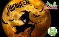 Бизнес новости: Halloween в Суши-баре Fuji и в Trattoria Toscana!