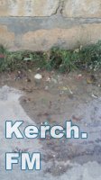 Новости » Общество: В Керчи в жилом доме три недели из подвала течет вода