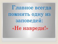 Новости » Криминал и ЧП: Керчане в переулке Менделеева обрезали деревья и повредили провода