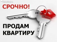 Бизнес новости: Продаются две квартиры от хозяина. Срочно. Недорого