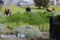 Новости » Общество: В Керчи за два млн руб в парках и скверах пересчитают зеленые насаждения