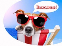 Новости » Общество: На следующей неделе керчан ждет всего два рабочих дня