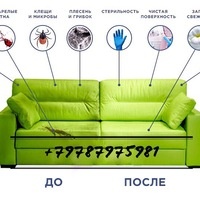 Бизнес новости: Профессиональная химчистка на дому