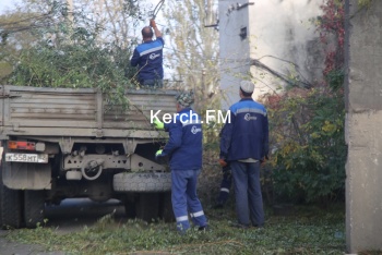 Новости » Общество: На Мирошника пилили аварийные деревья