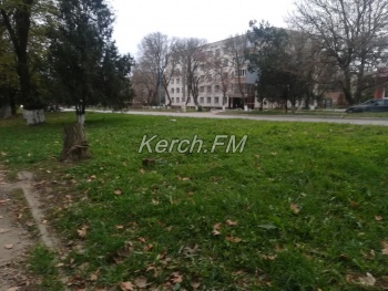 Новости » Общество: В Керчи на Орджоникидзе высадили деревья