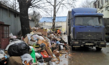 Новости » Криминал и ЧП: В Аршинцево на рынке в мусорных горах ползают крысы