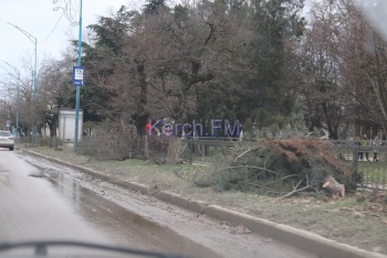 Новости » Коммуналка: Обочины проезжей части в Аршинцево все в кучах обрубленных веток