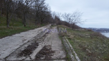 Новости » Общество: Склон в Аршинцево продолжает сползать в море