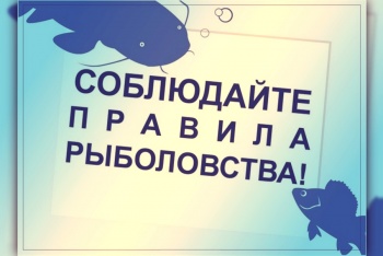 Новости » Общество: Керчанам рассказали об изменениях в правилах рыбалки