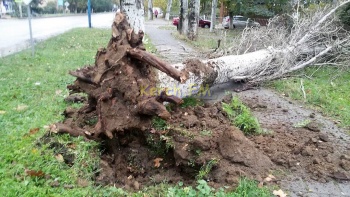 Новости » Общество: МЧС готово: на Крым надвигается Скандинавский циклон