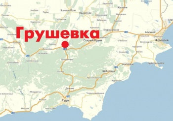 Новости » Общество: С 14 апреля запустят в работу транзитную автостанцию в селе Грушевка