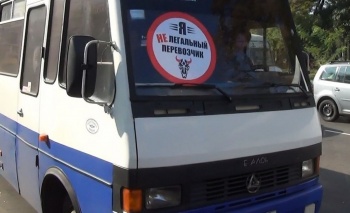 Новости » Общество: Более 200 нелегальных перевозчиков за 2,5 недели поймала полиция Крыма