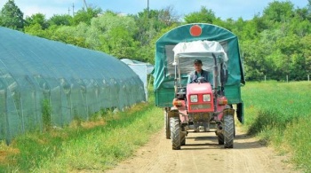 Новости » Общество: Минсельхоз Крыма выделил на новую грантовую поддержку аграриев почти 40 млн рублей