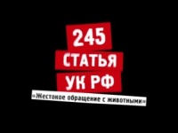 Новости » Криминал и ЧП: Мрази: в Керчи хладнокровно убили собаку шурупом (только 18+)