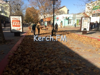 Новости » Общество: Коммунальщики Керчи не справляются с осенней листвой