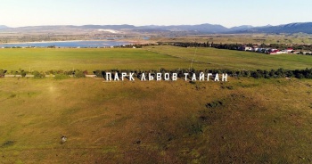 Новости » Общество: Надпись «Парк львов Тайган» останется на прежнем месте, - Зубков