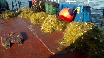 Новости » Общество: Пограничники нашли в Азовском море сети задержанных украинских моряков