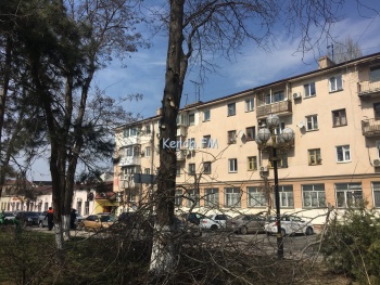 Новости » Общество: В центре Керчи коммунальщики обрезали ветки деревьев