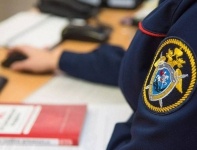 Новости » Общество: Следком проведет прием граждан онлайн