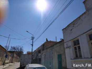 Ты репортер: Даже собаки в Керчи верят, что скоро все закончится (видео)