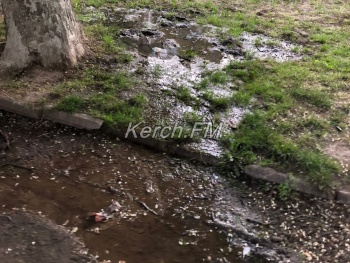 Новости » Общество: Болото из питьевой воды появилось под окнами керчан