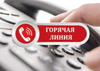 Новости » Общество: Роспотребнадзор Керчи открыл «горячие линии» по вопросам качества плодовоовощной продукции