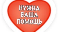 Новости » Общество: Неравнодушных керчан просят помочь одинокой пенсионерке с жильем