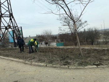 Новости » Общество: У кольца на Чкалова высаживают розовую аллею