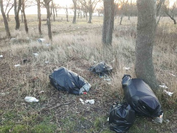 Новости » Общество: Еще один керченский парк завален мусором