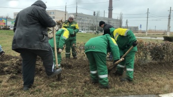 Новости » Общество: Зеленхоз высаживает вокруг Ворошиловского кольца растения