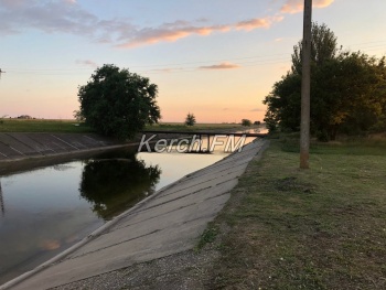 Новости » Общество: В Северо-крымском канале стало больше воды и цвели