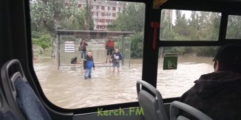 Новости » Экология: Администрация города просит не выезжать на личном авто