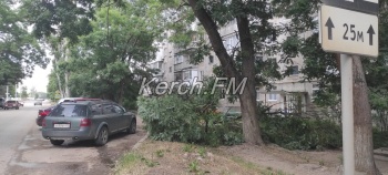 Новости » Общество: У дома по Вокзальному шоссе упала огромная ветка: ни люди, ни машины не пострадали