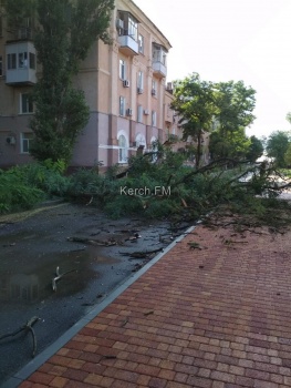 Новости » Общество: У Бульвара Пионеров на дорогу рухнуло дерево