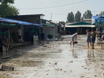 Новости » Общество: Планируют открыться завтра: на оптовом рынке Керчи идет уборка